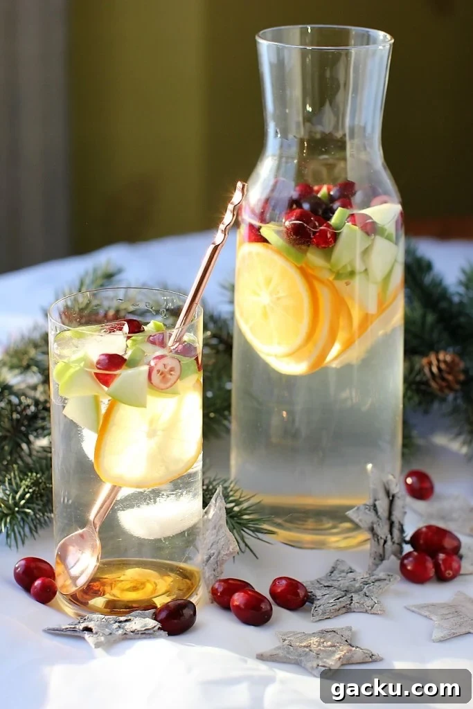 jug and glass of apple cranberry detox water in the winter sunshine