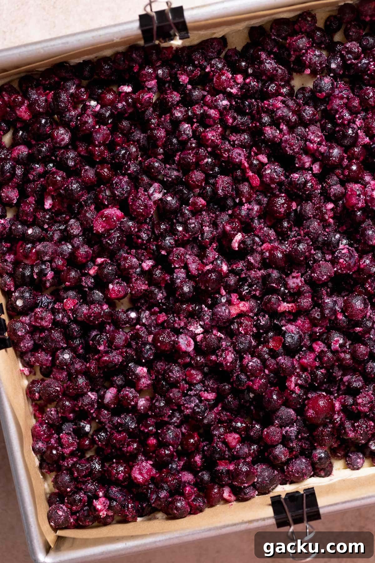 Blueberry Crumb Cake with Buttery Crumble Topping Recipe 7 Layer of blueberries spread over cake batter.