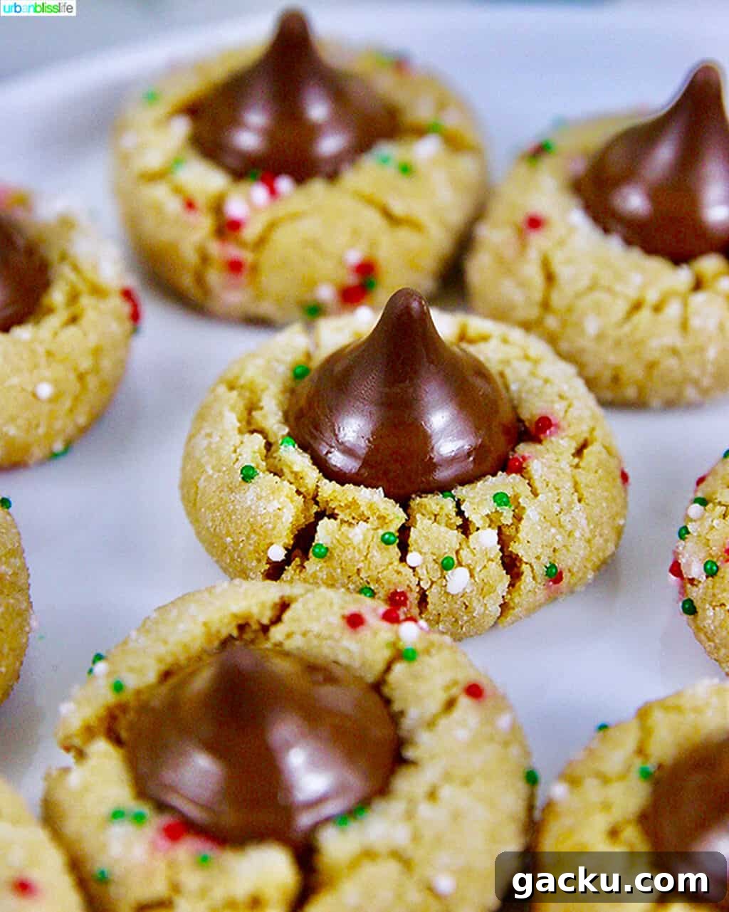 Classic Peanut Butter Blossom Cookies: Soft Chocolate Kiss Treat 3 closeup of Peanut Butter Blossom Cookies