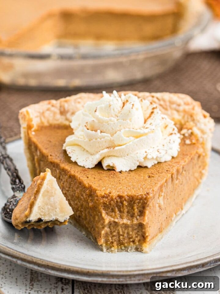 close up of an Amish pumpkin pie with a fork having just taken a piece from the front of the pie - a dollop of cream on top