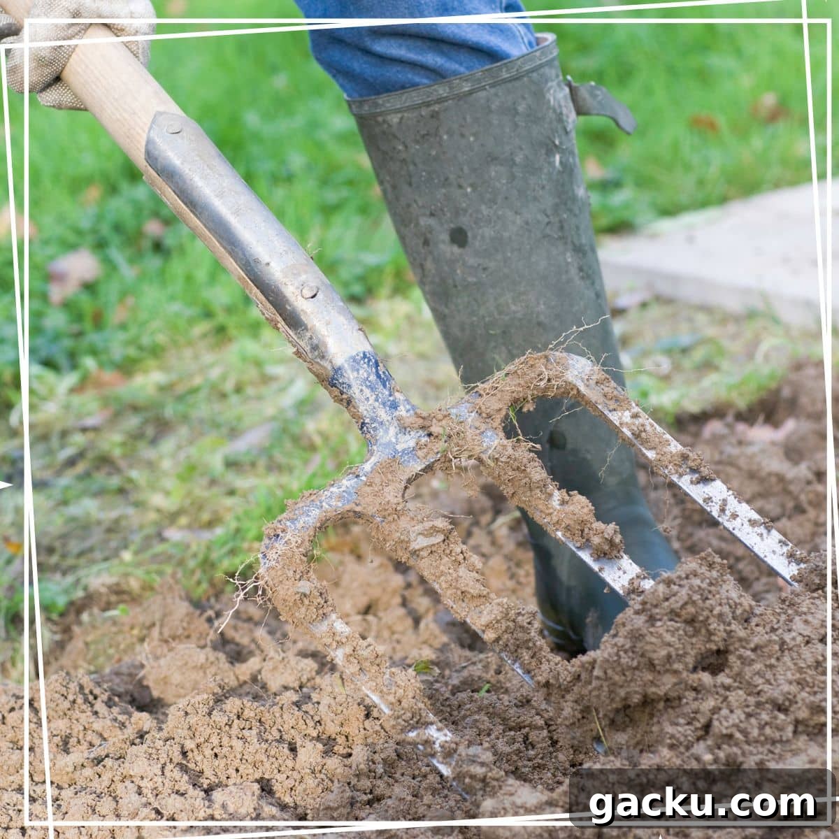 Grow Potatoes at Home: A Complete Guide to Planting and Harvesting 3 preparing soil