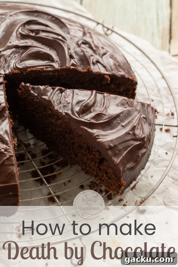 Decadent Death by Chocolate Cake Recipe for Chocolate Lovers 7 img 10867 6