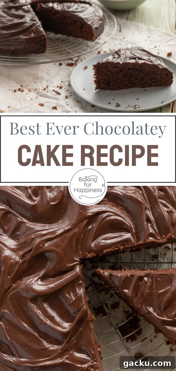 Decadent Death by Chocolate Cake Recipe for Chocolate Lovers 8 img 10867 7