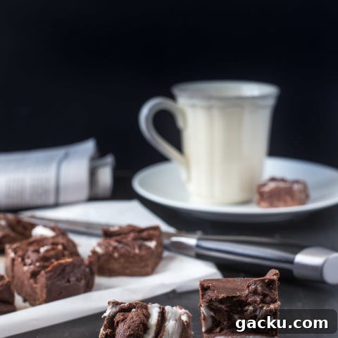 Peppermint chocolate fudge