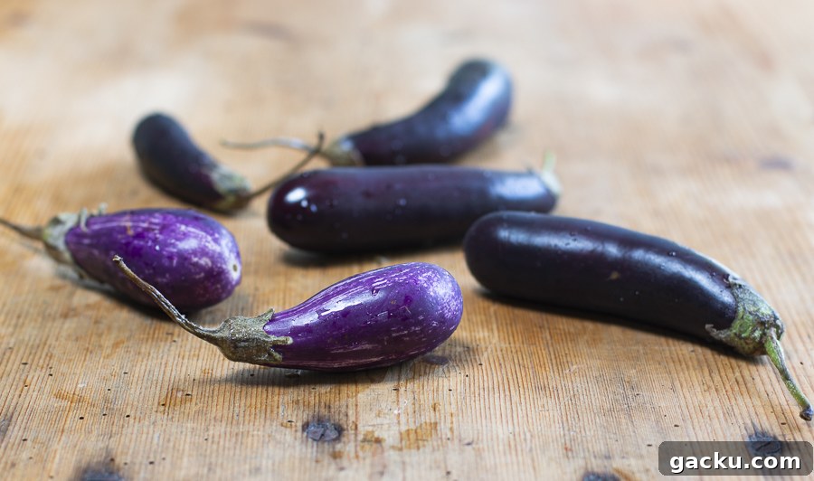 Smoky Eggplant Dip with Roasted Peppers Recipe 4 Fairytale eggplants roasted