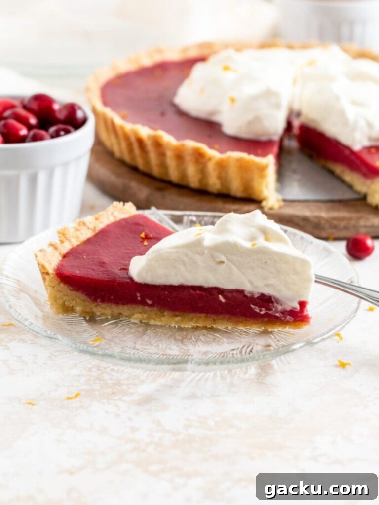 A slice of cranberry tart with whipped cream on a plate with a fork.
