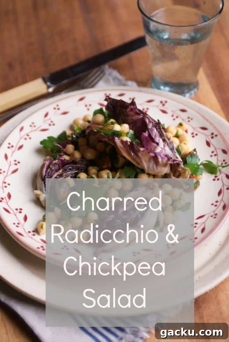 41 Irresistible Griddle Recipes for Every Meal 20 Charred Radicchio Chickpea Salad
