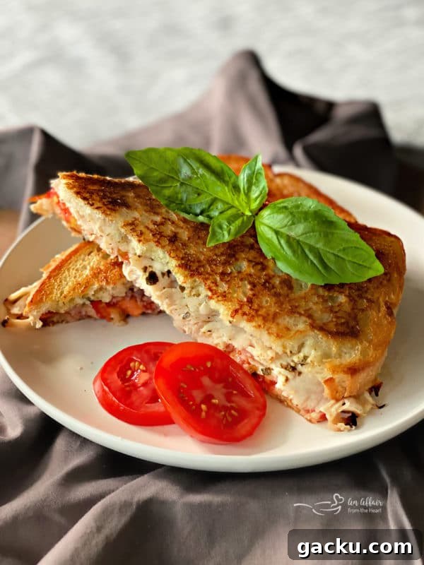 41 Irresistible Griddle Recipes for Every Meal 24 Turkey Havarti Sandwiches