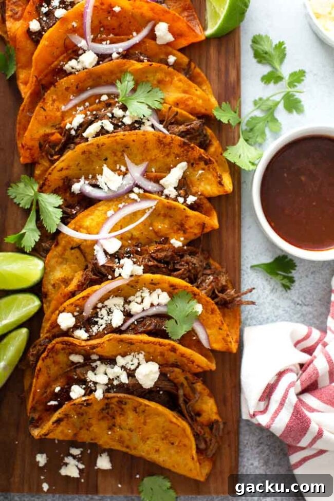 41 Irresistible Griddle Recipes for Every Meal 28 Birria Tacos