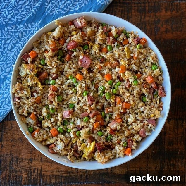 41 Irresistible Griddle Recipes for Every Meal 30 Ham Fried Rice