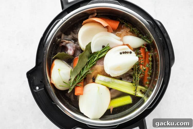 instant pot turkey stock step 1