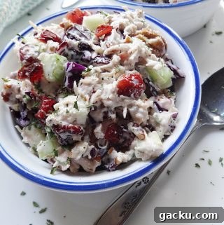 Turkey Salad with Cranberries and Almonds — Light Lunch Recipe 5 Turkey Salad Recipe with Cranberries