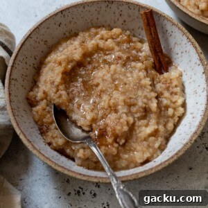 slow cooker rice pudding in a bowl with a spoon and a cinnamon stick