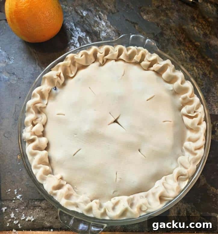 Beef Pie with Olives and Herbs