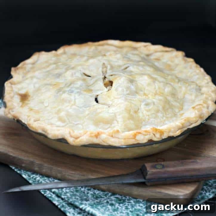 Easy Chicken Pie www.loavesanddishes.net