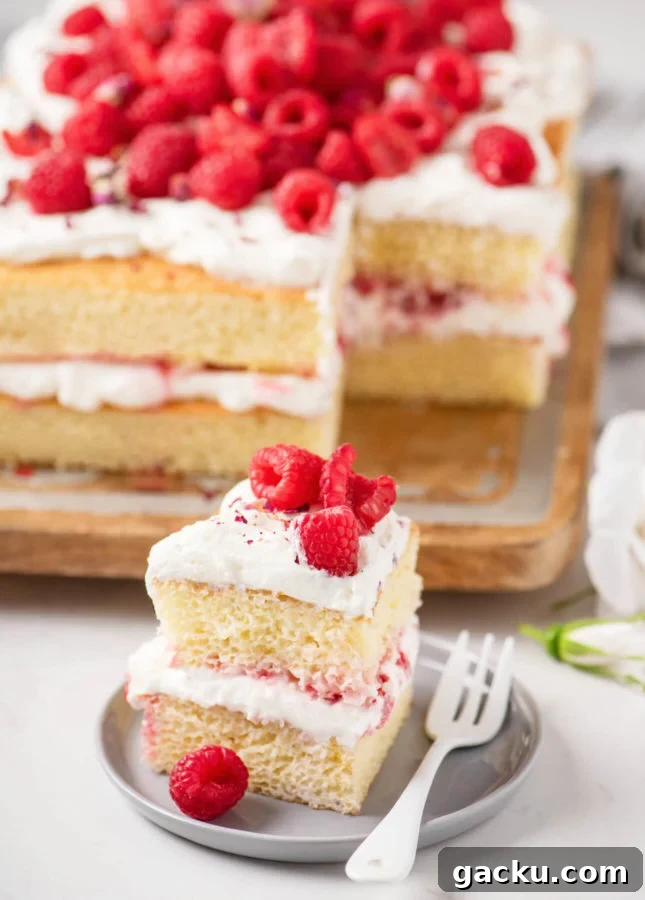Easy, Versatile Layered Sheet Cake // FoodNouveau.com