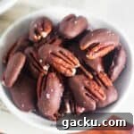 close up image of chocolate covered pecans to fit the recipe card image size