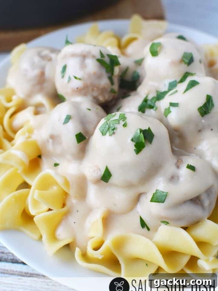 17 Tasty Recipes You Can Make with Frozen Meatballs 19 img 13141 18