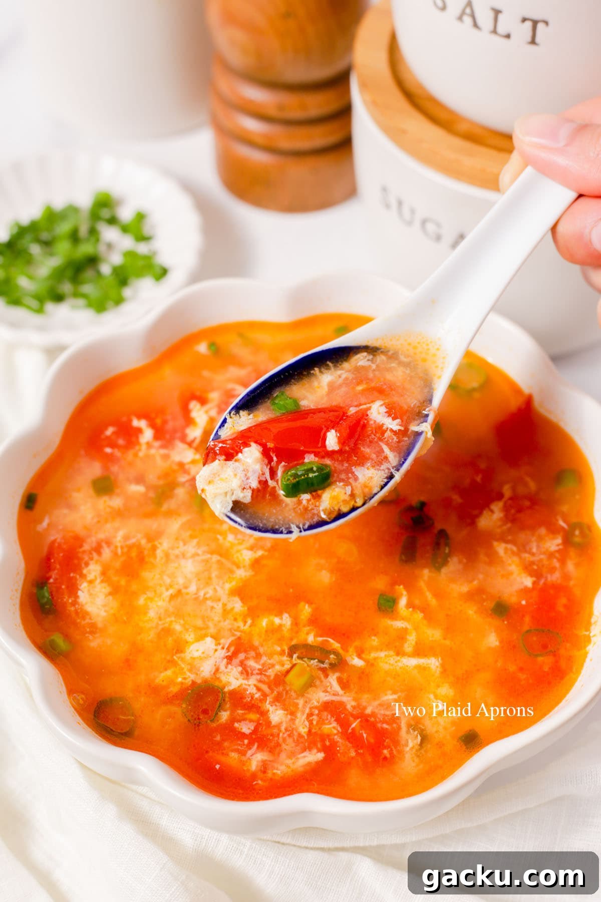 Tomatoes and soup ingredients