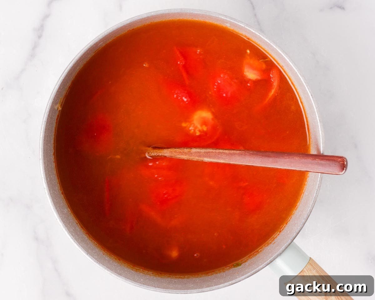 Soup boiling