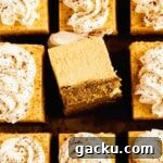 Pumpkin cheesecake bars from the top with slice turned over