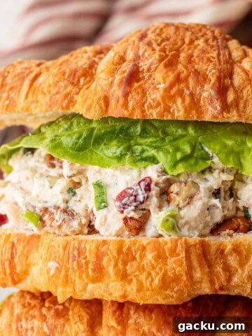 Assembled cranberry chicken pecan salad on croissant.