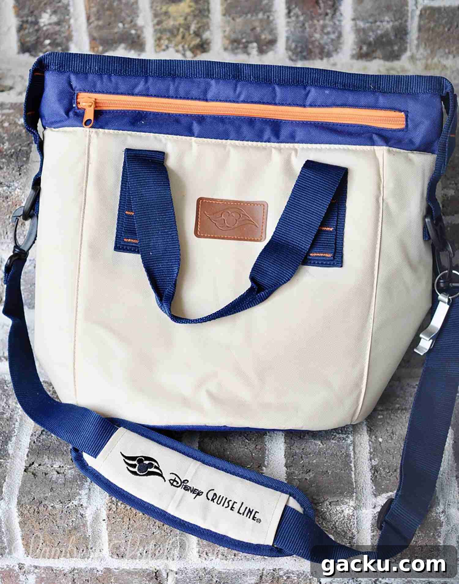 Disney cooler bag.