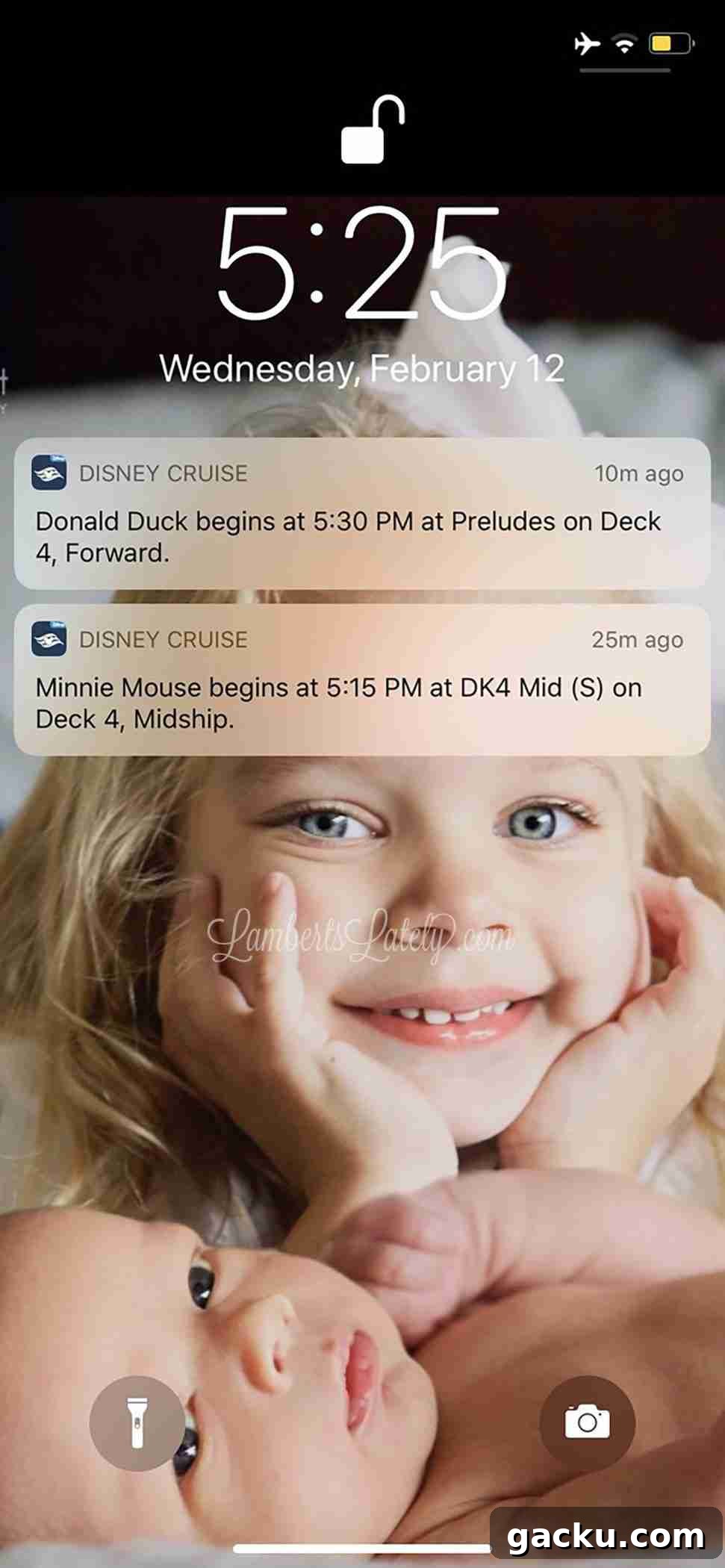 screenshot of disney cruise app notification.