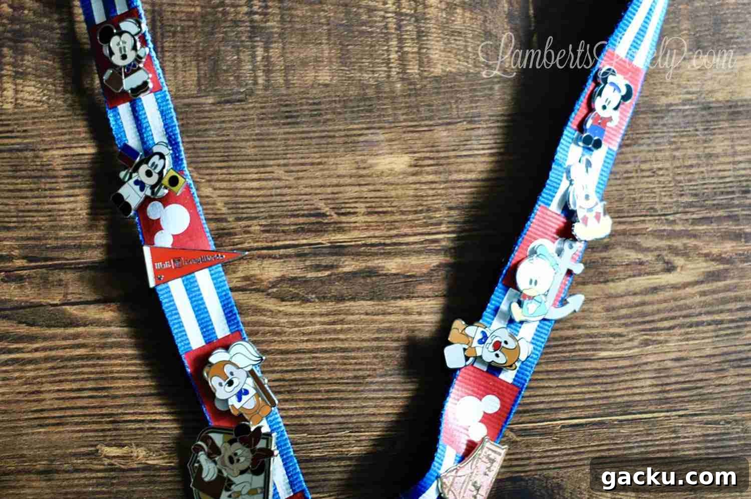 Disney lanyard with pins.