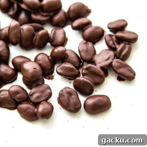A plate with chocolate covered espresso beans on it.