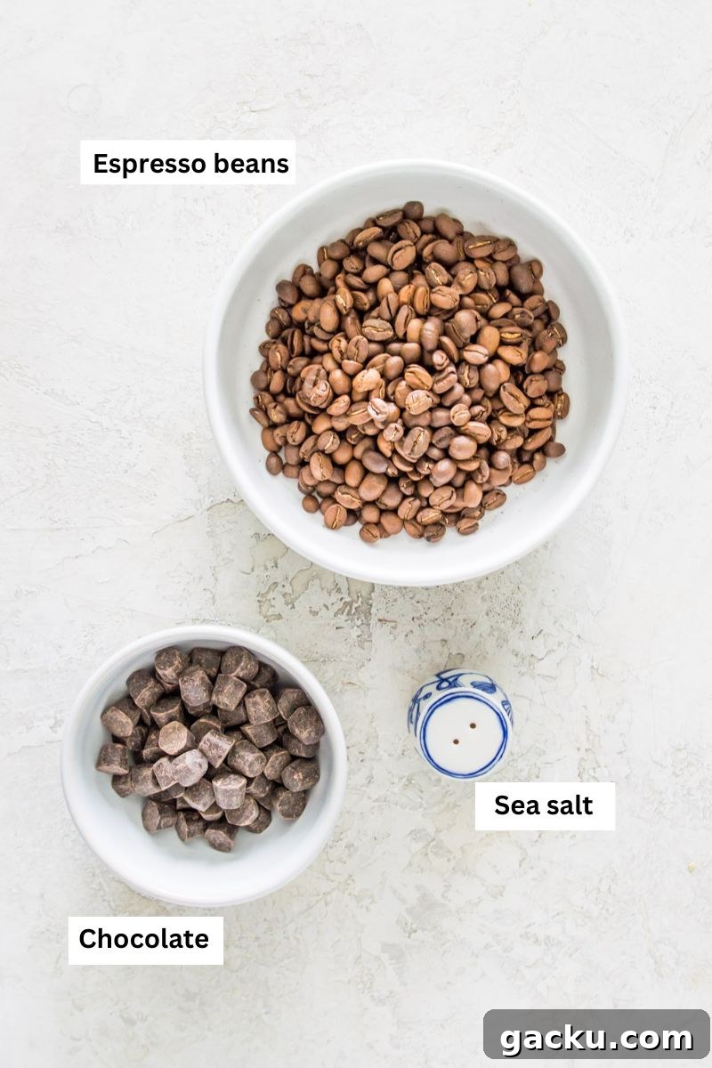 A bowl filled with coffee beans, a bowl filled with chocolate chips and a salt shaker.