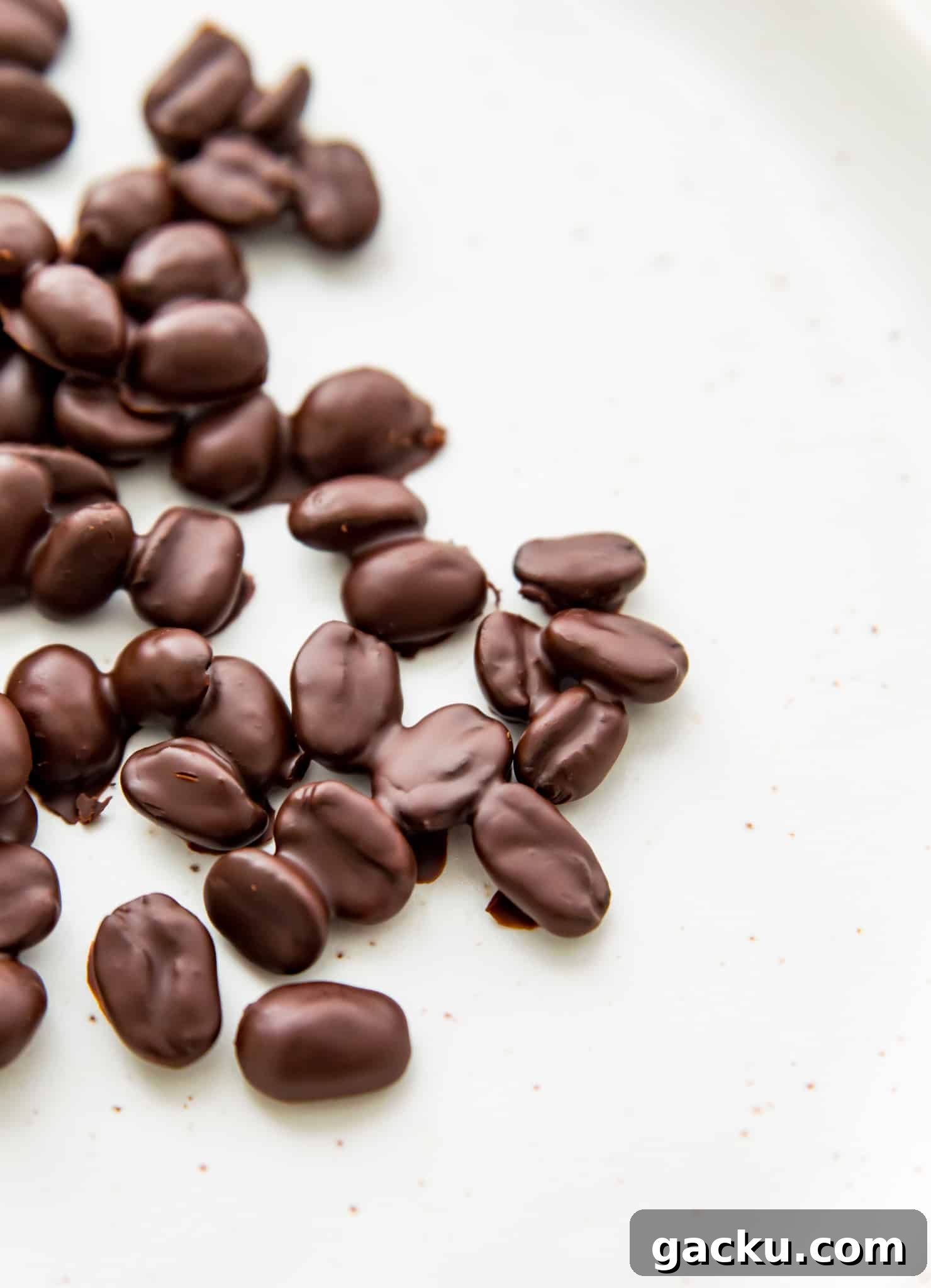 A plate with chocolate covered espresso beans on it.