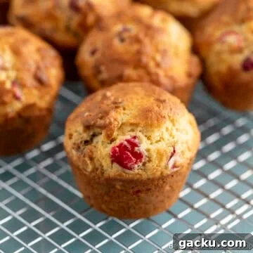 Cranberry Nut Muffins on a baking rack.