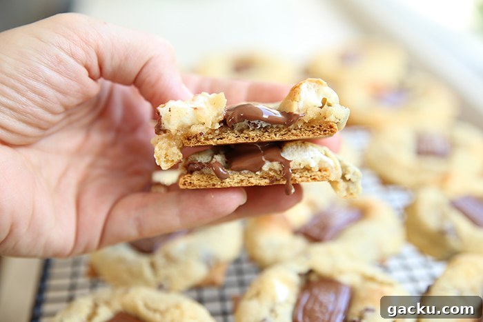 A cooling rack of s'more chocolate chip cookies with a broken in half cookie held above.