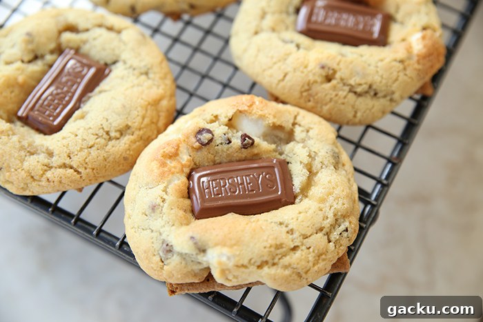 A corner of a wire cooling rack with a few s'more cookies.