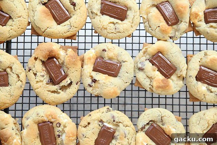 A cooling rack full of S'more Chocolate Chip Cookies