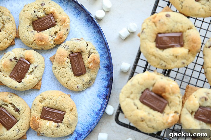 A plate of s'more chocolate chip cookies and a corner of a wire cooling rack of s'mores cookies with mini marshmallows separating the plate and cooling rack.