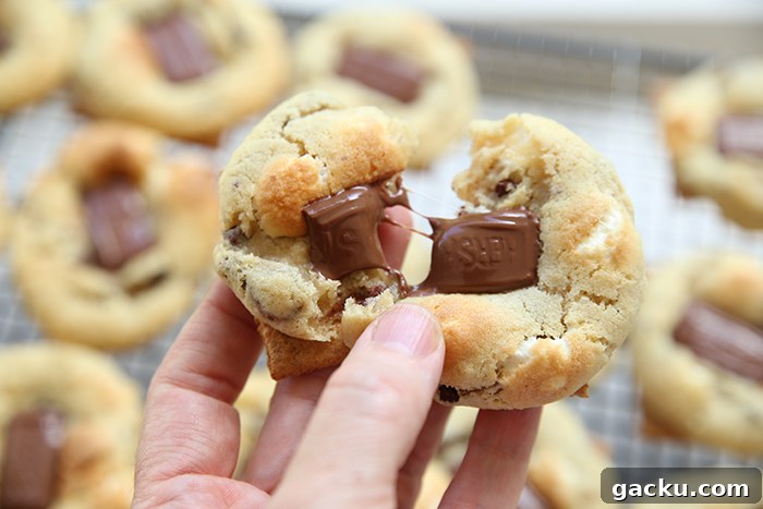 A s'more chocolate chip cookie broken in half held above a cooling rack filled with cookies.