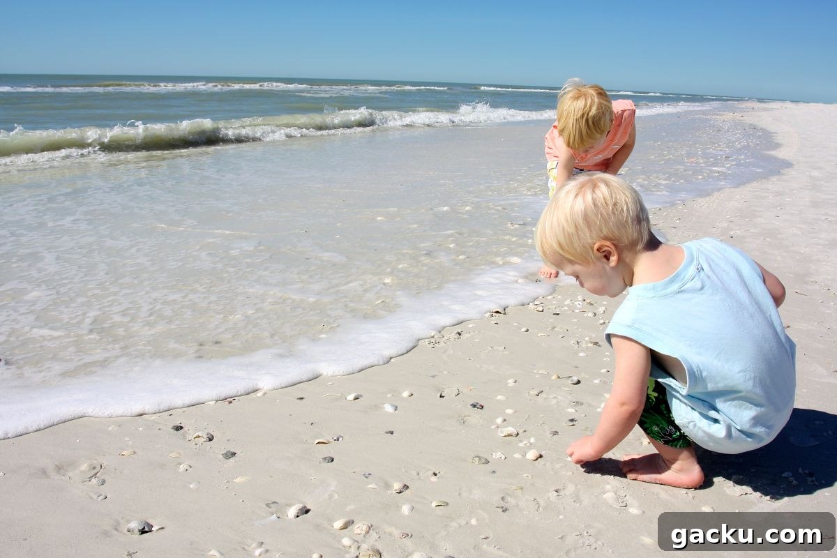 photo frame with seashell art