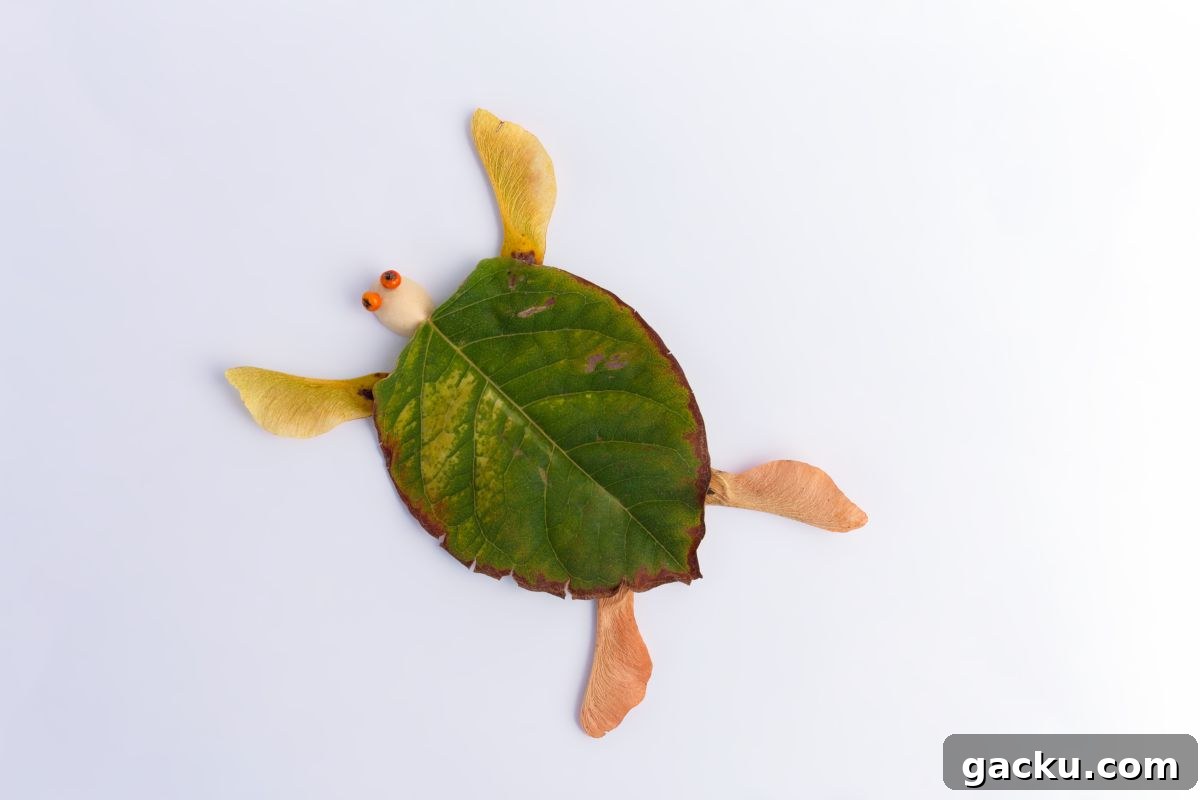 nature craft collage