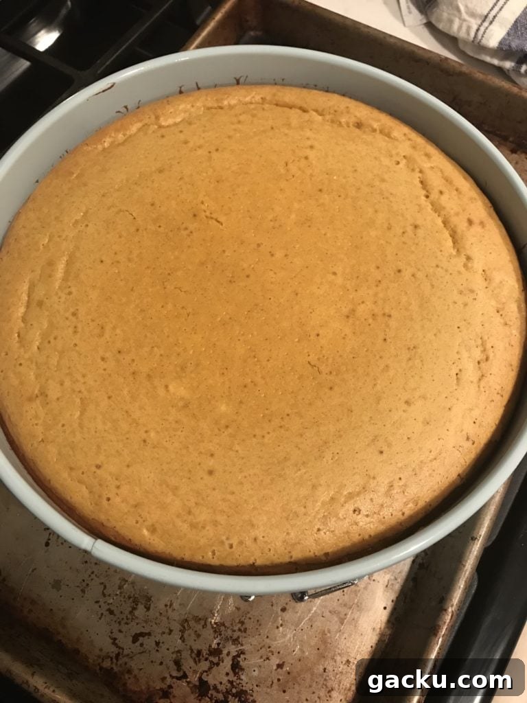 A pumpkin cheesecake out of the oven to show minimal cracking on top.
