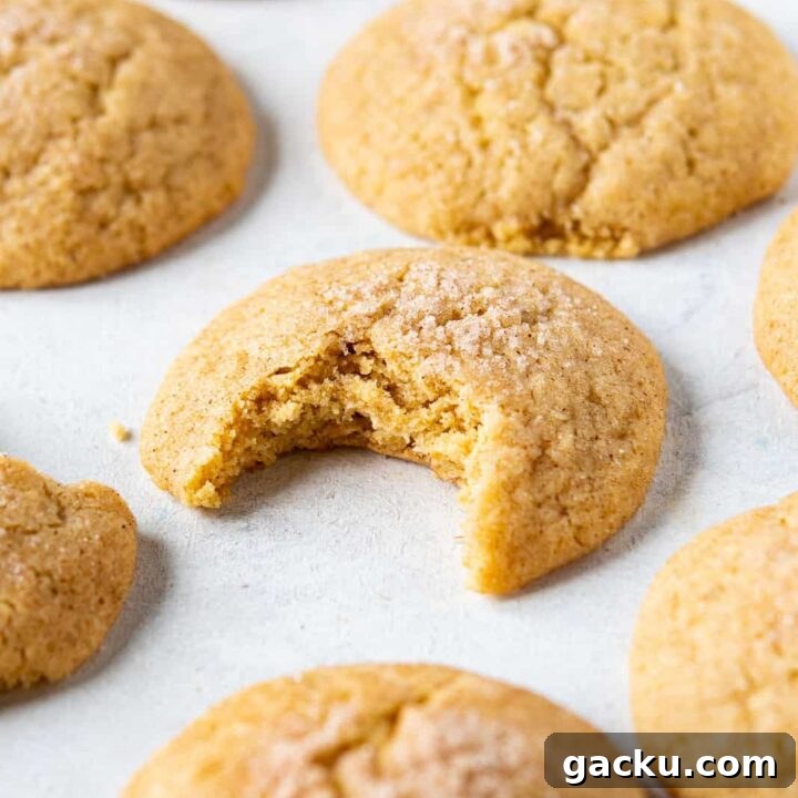 cinnamon cookies image