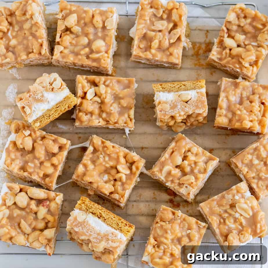 Salted Peanut Bar Recipe: Chewy No-Bake Snack Squares 5 salted peanut bars cut into squares