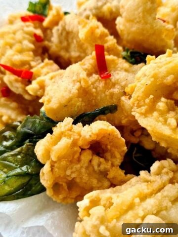Freshly fried crunchy squid on top of kitchen paper