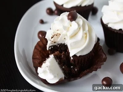 Decadent Mocha Cupcakes with Rich Coffee Chocolate Frosting 2 Mocha cupcakes close-up