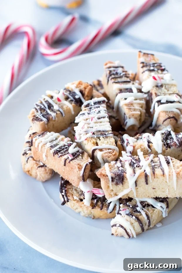 Peppermint Chocolate Chip Biscotti Recipe for Holiday Baking 2 Peppermint Chocolate Chip Biscotti | cakenknife.com