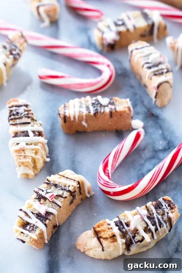 Peppermint Chocolate Chip Biscotti Recipe for Holiday Baking 3 Peppermint Chocolate Chip Biscotti | cakenknife.com