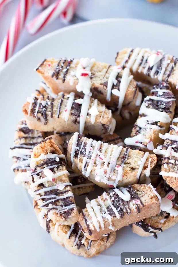 Peppermint Chocolate Chip Biscotti Recipe for Holiday Baking 4 Peppermint Chocolate Chip Biscotti | cakenknife.com