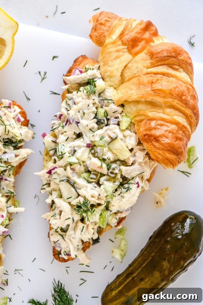 Dill Pickle Chicken Salad Recipe with Crunchy Celery & Herbs 9 dill pickle chicken salad on a croissant.