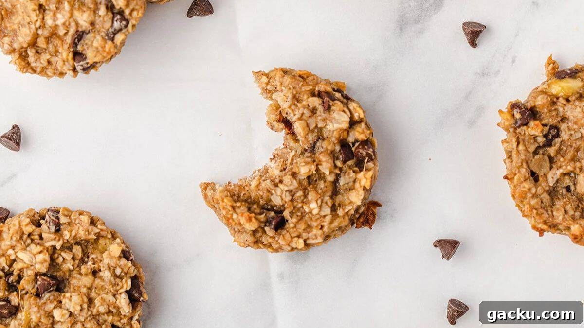 Delicious Breakfast Ideas to Transform Your Mornings 9 Healthy Breakfast Cookie